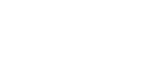 2013年「アニメ化大賞 powered by ポニーキャニオン」にて、多数の応募の中から見事大賞を射止めた、『D.backup(ディー・ドット・バックアップ) 』（新進気鋭の創作ユニット「Physics Point(フィジクスポイント)」によるシナリオ&イラストレーション作品）を原案とした新作オリジナルアニメーション。脚本:志茂文彦(『AIR』『CLANNAD』)、キャラクター原案:カントク(『変態王子と笑わない猫。』)という2人のヒットメーカーによって新たに構成された作品世界観を、TVシリーズ『進撃の巨人』、『PSYCHO-PASS サイコパス 2』でのオープニング演出でその実力を一躍国内外に知らしめた石浜真史監督が映像化。数多くのアニメーション作品を手掛けるA-1 Pictures(『ソードアート・オンライン』『劇場版THE IDOLM@STER MOVIE 輝きの向こう側へ!』)とポニーキャニオンが強力タッグを組んだ大型映像プロジェクトの全貌が、2016年1月9日、遂にスクリーンで明らかになる。