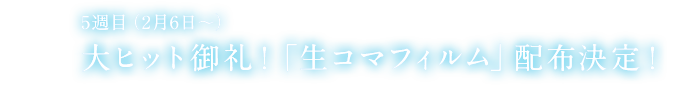 特典付き前売券第1弾発売決定！！ 特製きらきらクリアファイル付　前売り券第5弾