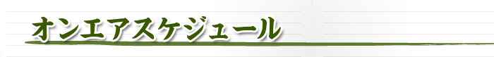 オンエアスケジュール