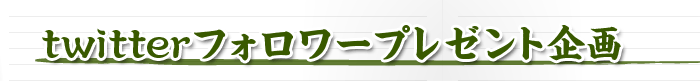 twitterフォロワープレゼント企画